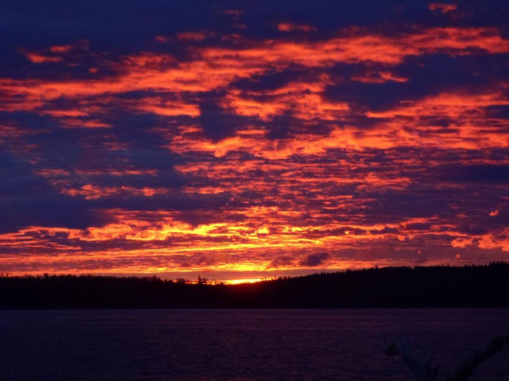 Seawatch Bed & Breakfast Bed & Breakfast Halifax Bagian luar foto
