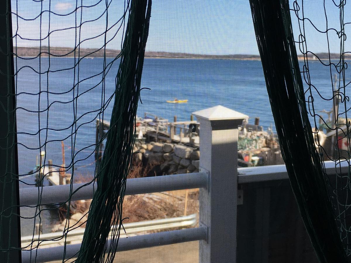 Seawatch Bed & Breakfast Bed & Breakfast Halifax Bagian luar foto