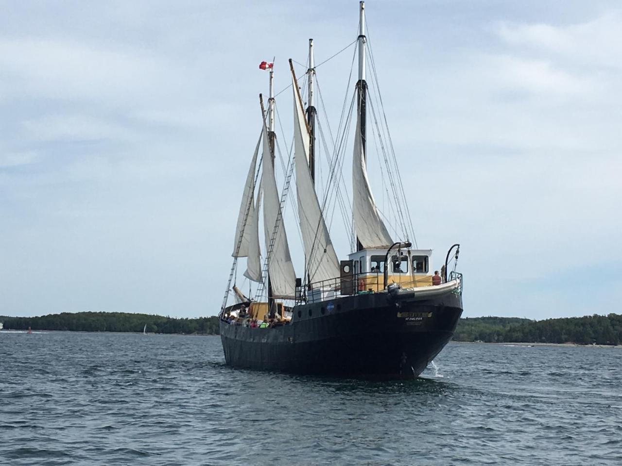 Seawatch Bed & Breakfast Bed & Breakfast Halifax Bagian luar foto